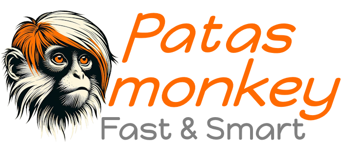 Patas-Monkey